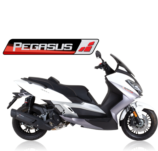 Lexmoto Pegasus 300
